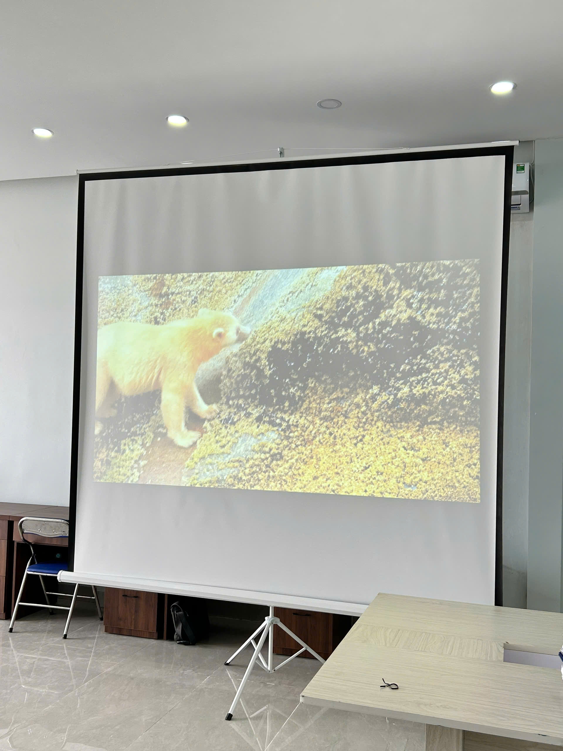 Thi Công Lắp Đặt Máy Chiếu Trọn Gói – Dịch Vụ Thi Công Lắp Đặt Phú Quốc | Máy Tính Phú Quốc | Vi Tính Hải Đăng