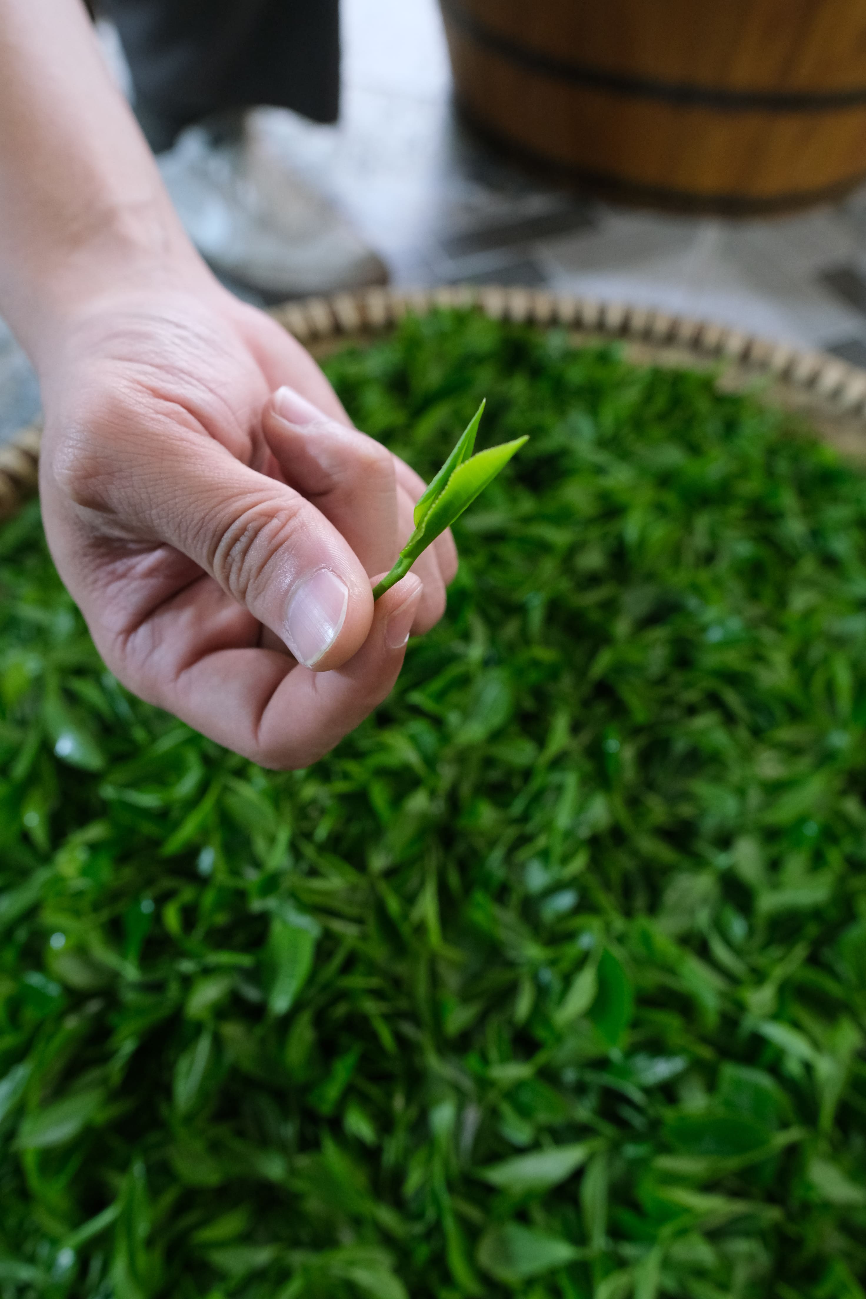 TRÀ TÂN CƯƠNG – ĐỆ NHẤT DANH TRÀ VIỆT