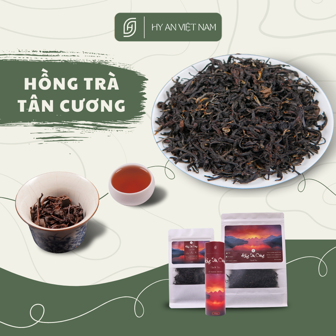 Hồng Trà Tân Cương Thái Nguyên
