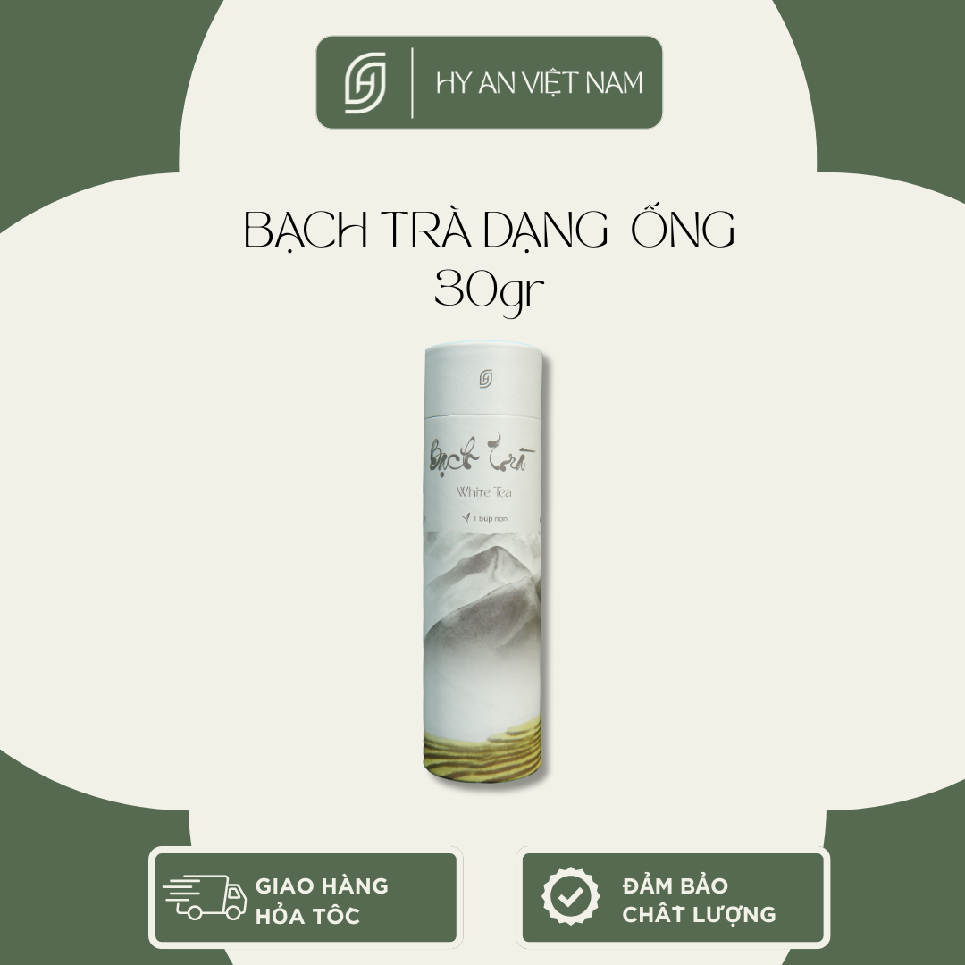 Combo Bạch trà thượng hạng - Trà đặc sản Hy An Việt Nam