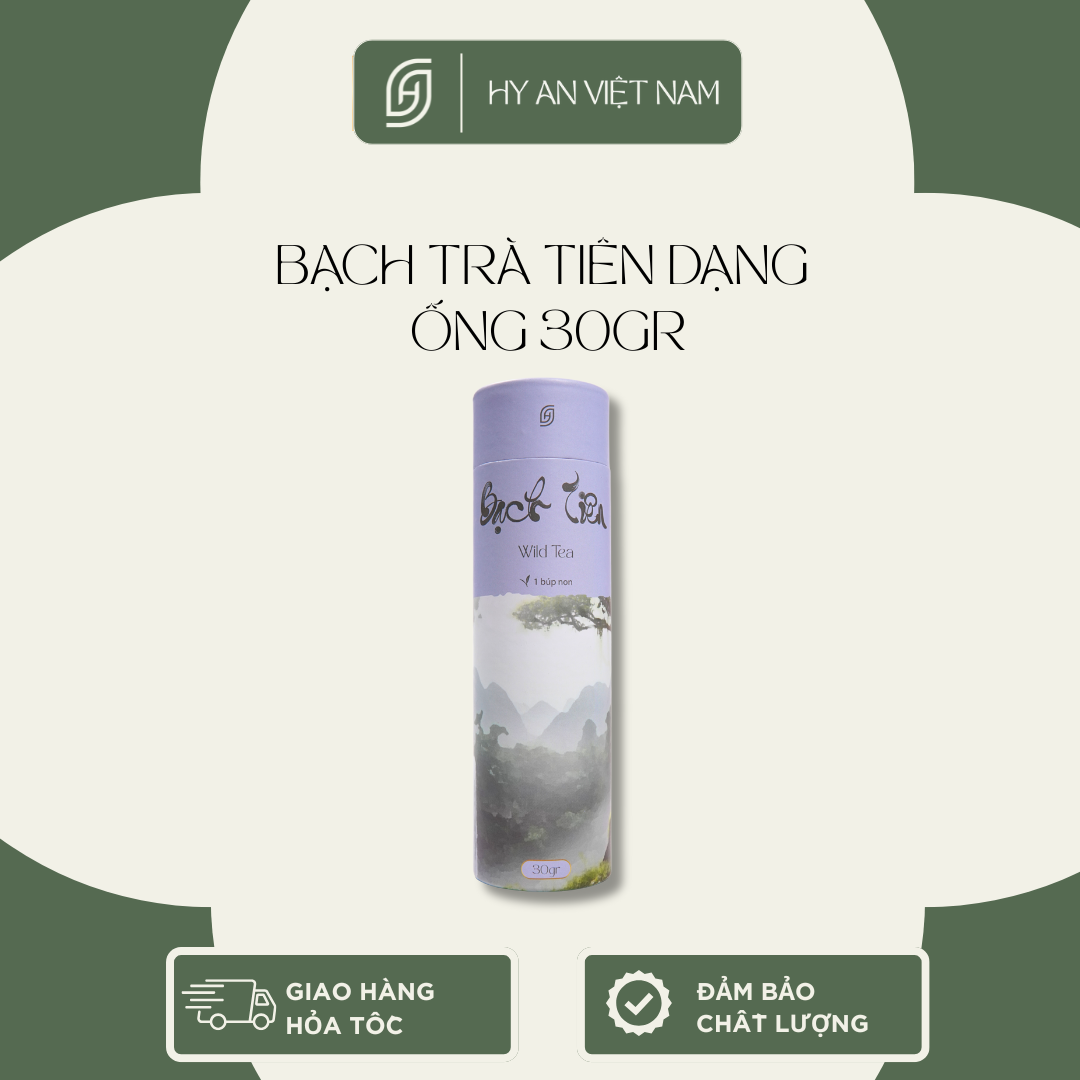 Set 7 loại trà thượng hạng Hy An Việt Nam tặng bộ ấm tử sa nhỏ gọn và tiện lợi - Dạng ống