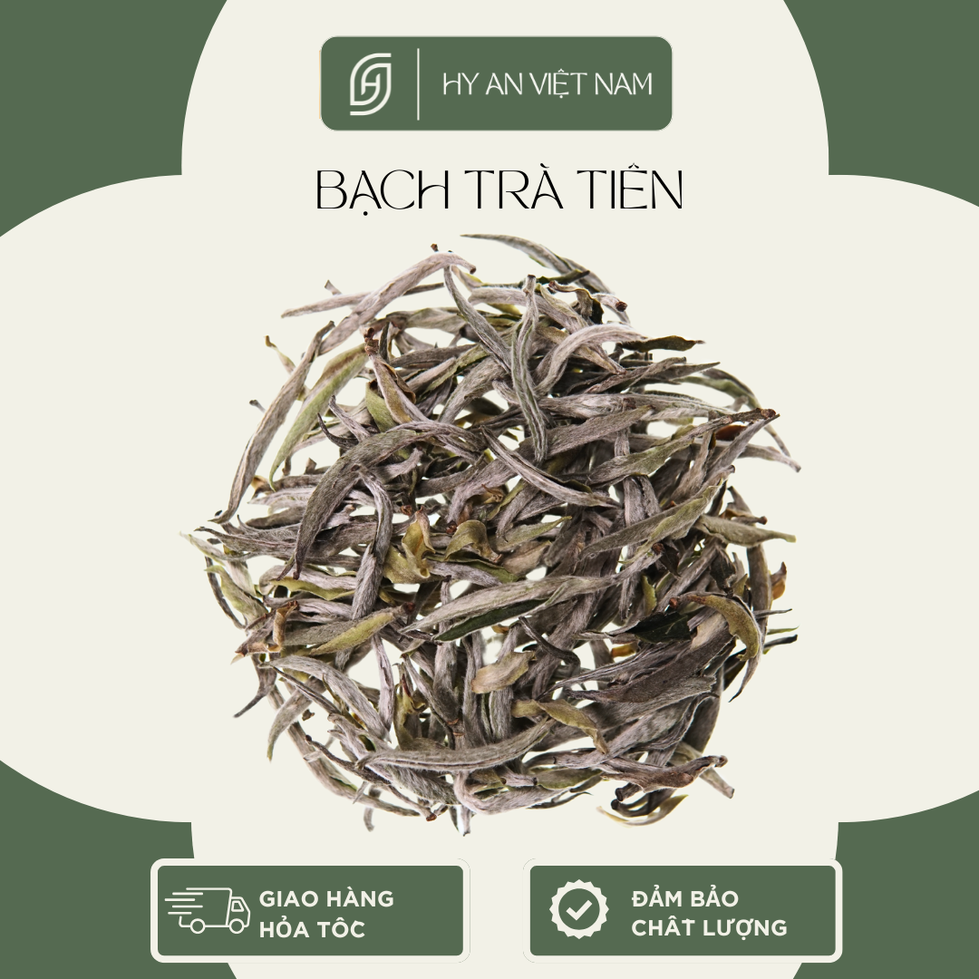Combo Trà rừng, Trà móng rồng 30gr, Bạch trà tiên 30gr, Trà ngon thượng hạng Hy An Việt Nam