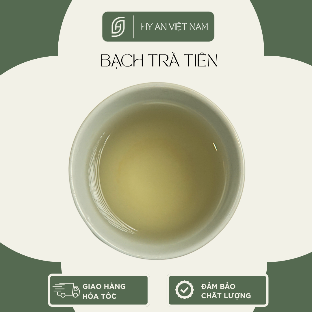 Combo Trà rừng, Trà móng rồng 30gr, Bạch trà tiên 30gr, Trà ngon thượng hạng Hy An Việt Nam