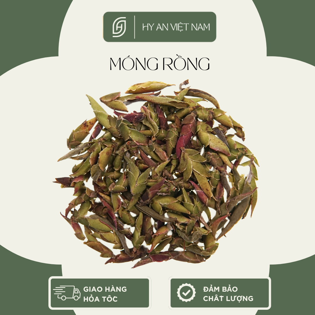 Combo Trà rừng, Trà móng rồng 30gr, Bạch trà tiên 30gr, Trà ngon thượng hạng Hy An Việt Nam