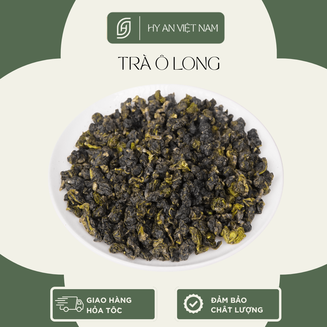 Trà Ô Long Thượng Hạng - Sản phẩm đặc sản của Hy An Việt Nam