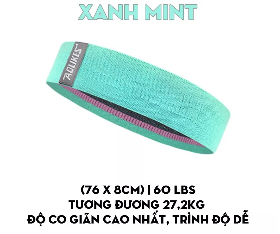 DÂY KHÁNG LỰC TẬP MÔNG ĐÙI AOLIKES 3604