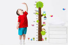 Tư Duy Đúng Khi Muốn Phát Triển Chiều Cao Cho Trẻ: Đừng Đợi Đến Dậy Thì!