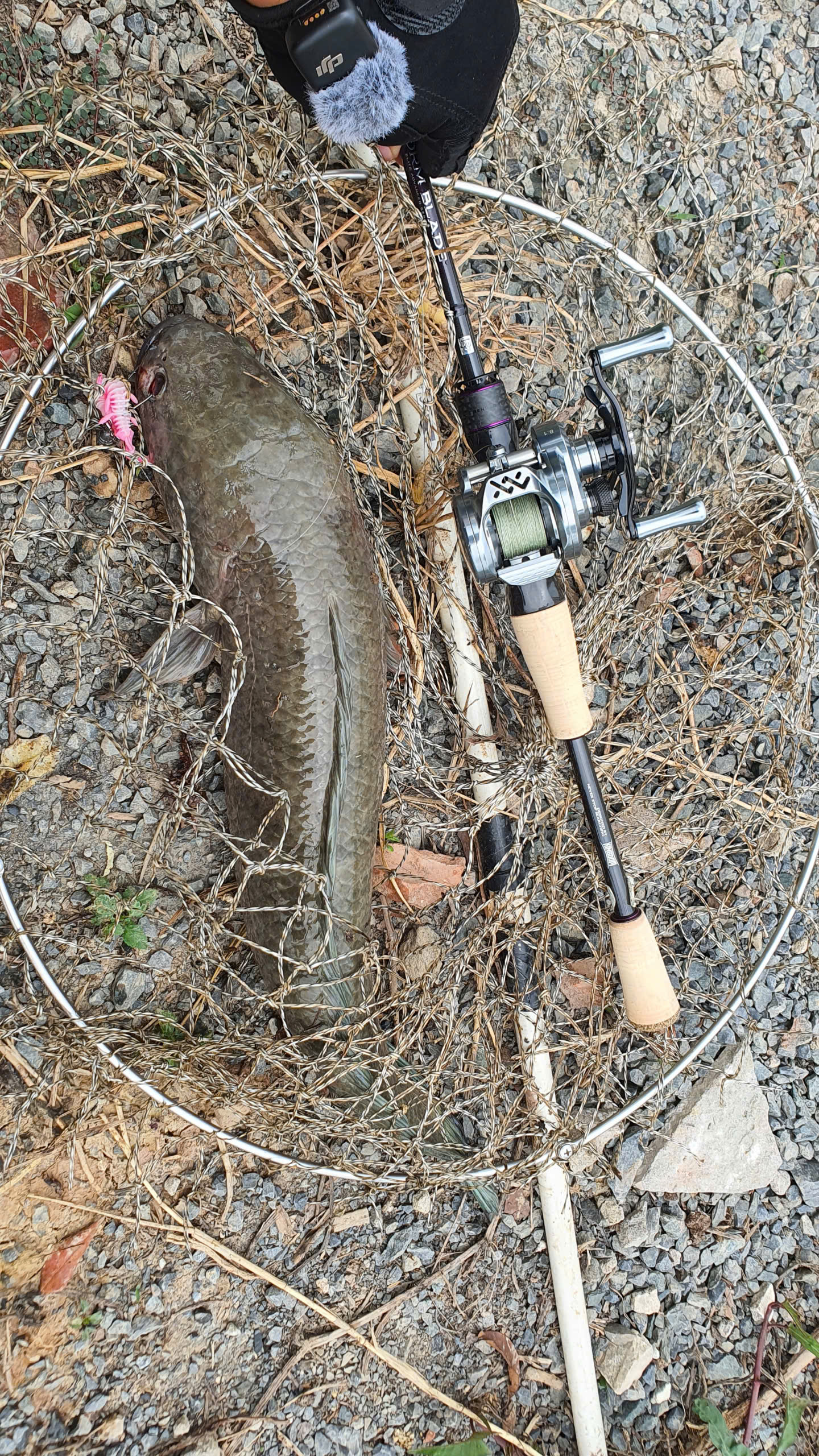 Top 5 hãng đồ câu lure nổi tiếng thế giới