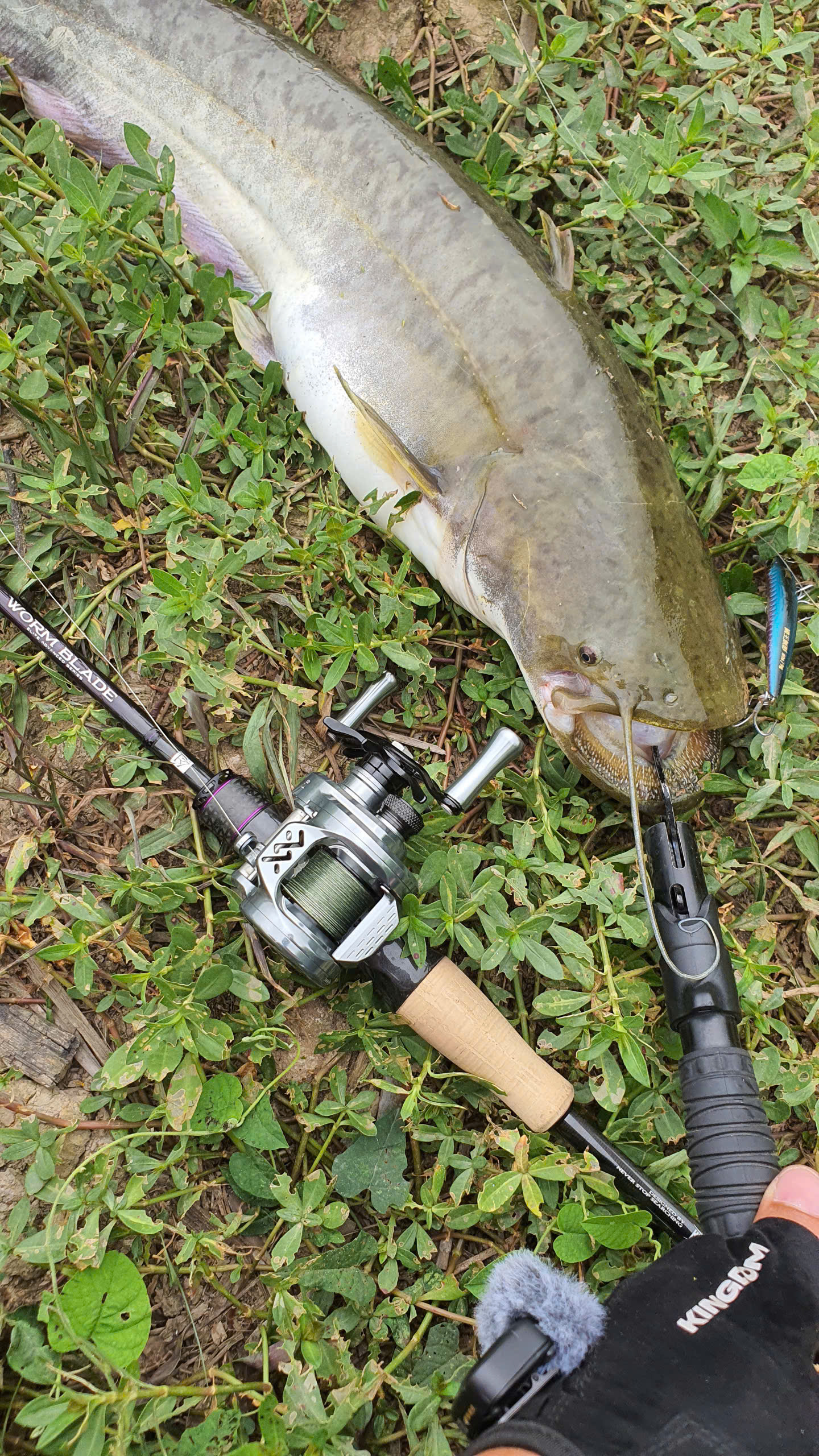 Vé Câu Dịch Vụ Hồ Câu