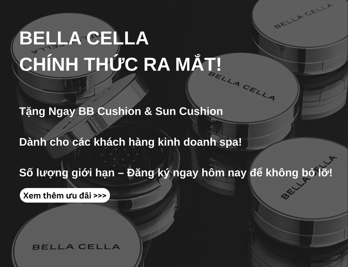 Chính thức ra mắt