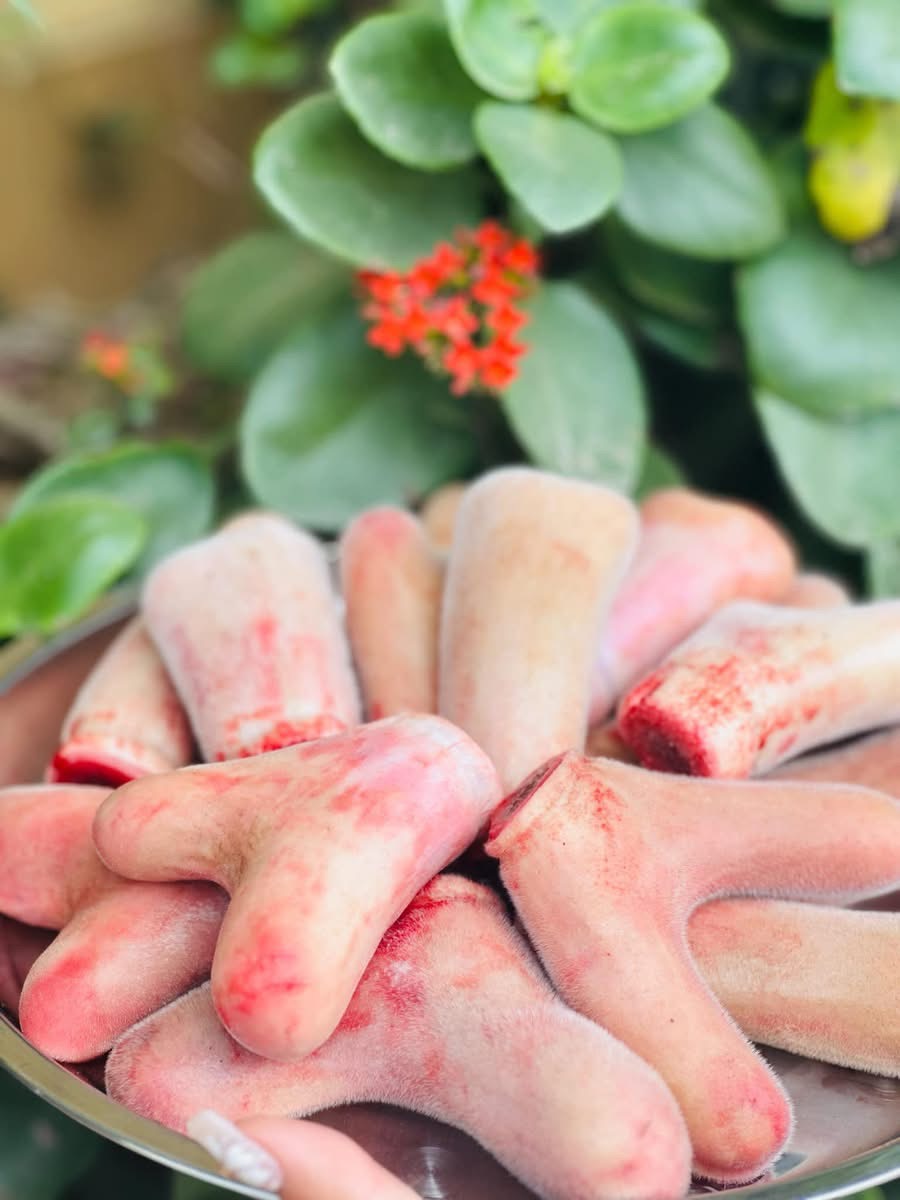 Nhung Hươu tươi