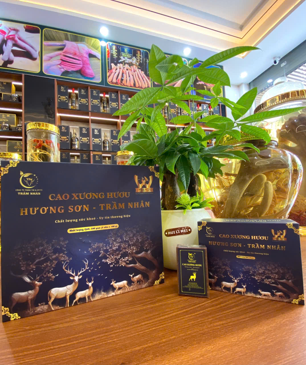 CAO XƯƠNG HƯƠU
