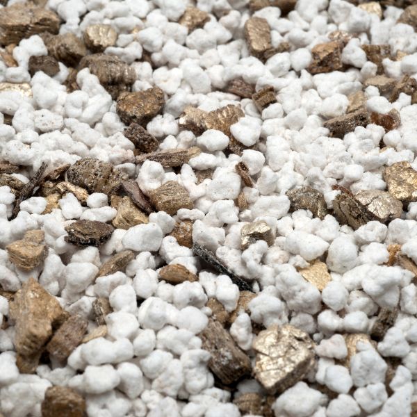 Đá Perlite: Ứng dụng trong làm vườn và cách sử dụng hiệu quả