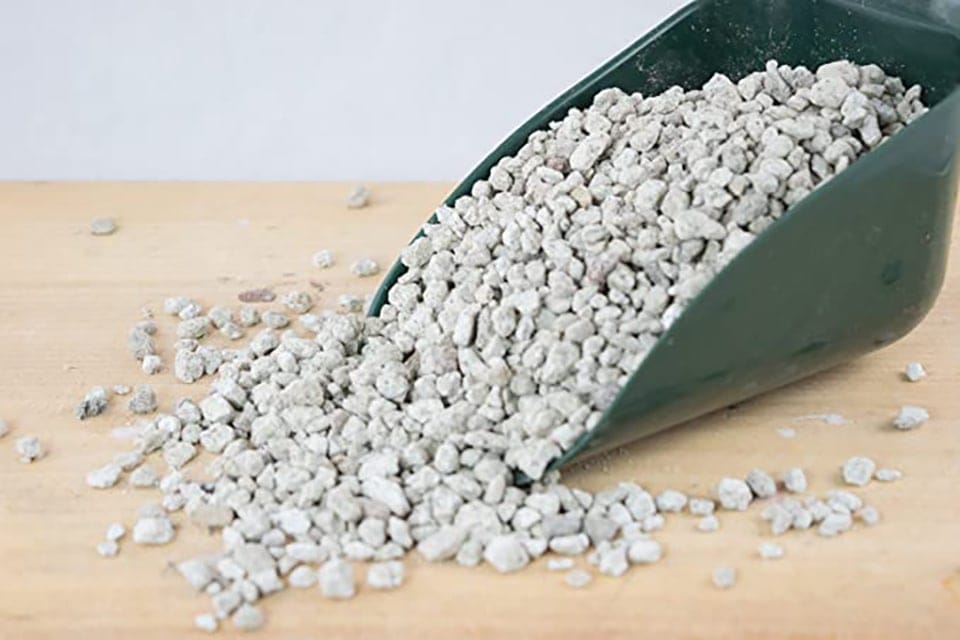 Đá Pumice Là Gì? Công Dụng Tuyệt Vời Của Đá Pumice Trong Làm Vườn