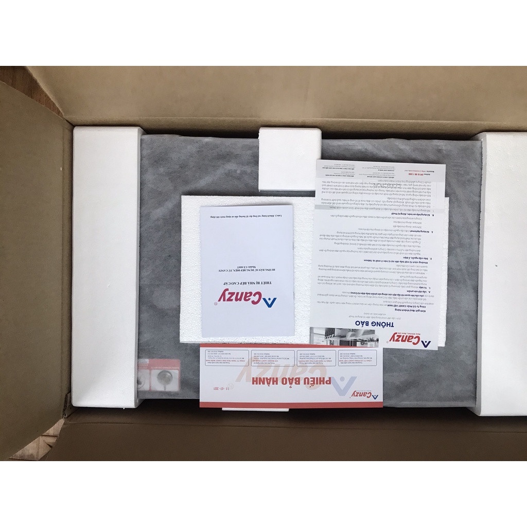 Bếp từ đôi Canzy CZ 6699Plus