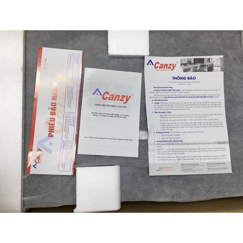 Bếp từ đôi Canzy 06i