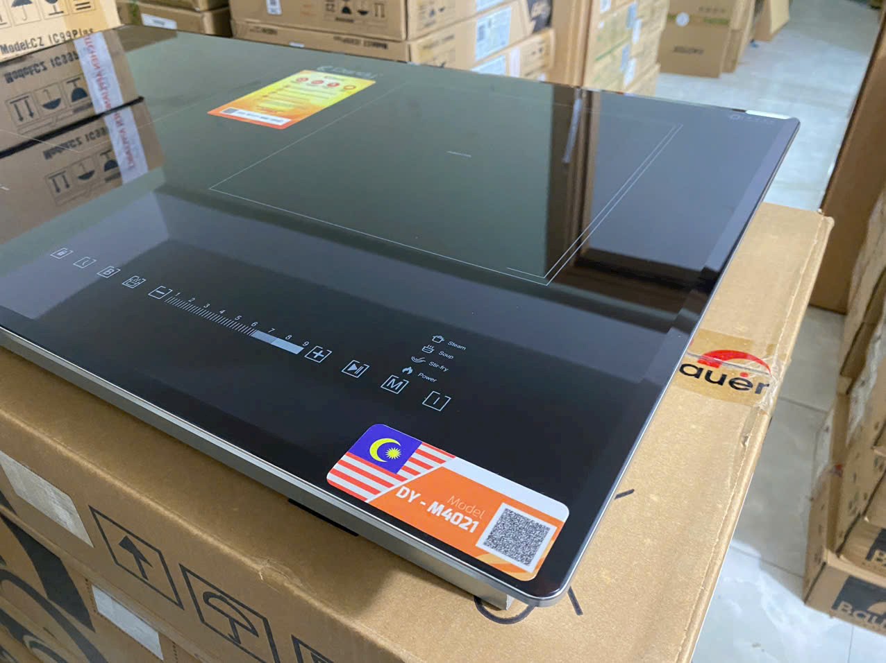 Bếp từ đôi Dandy DY M4021