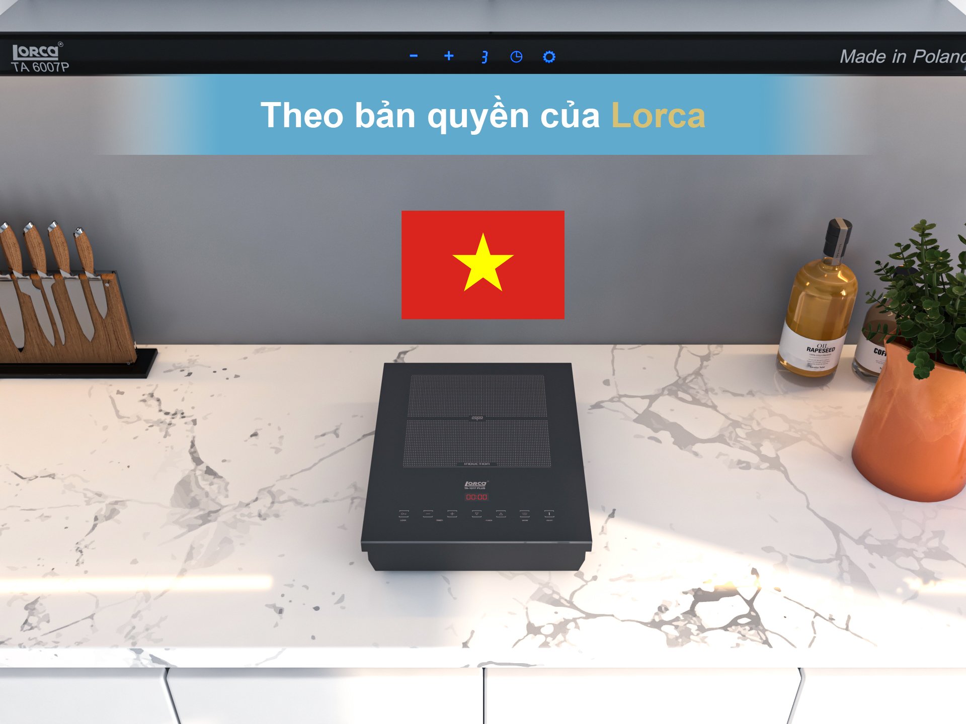 BẾP TỪ ĐƠN LORCA TA 1017 PLUS