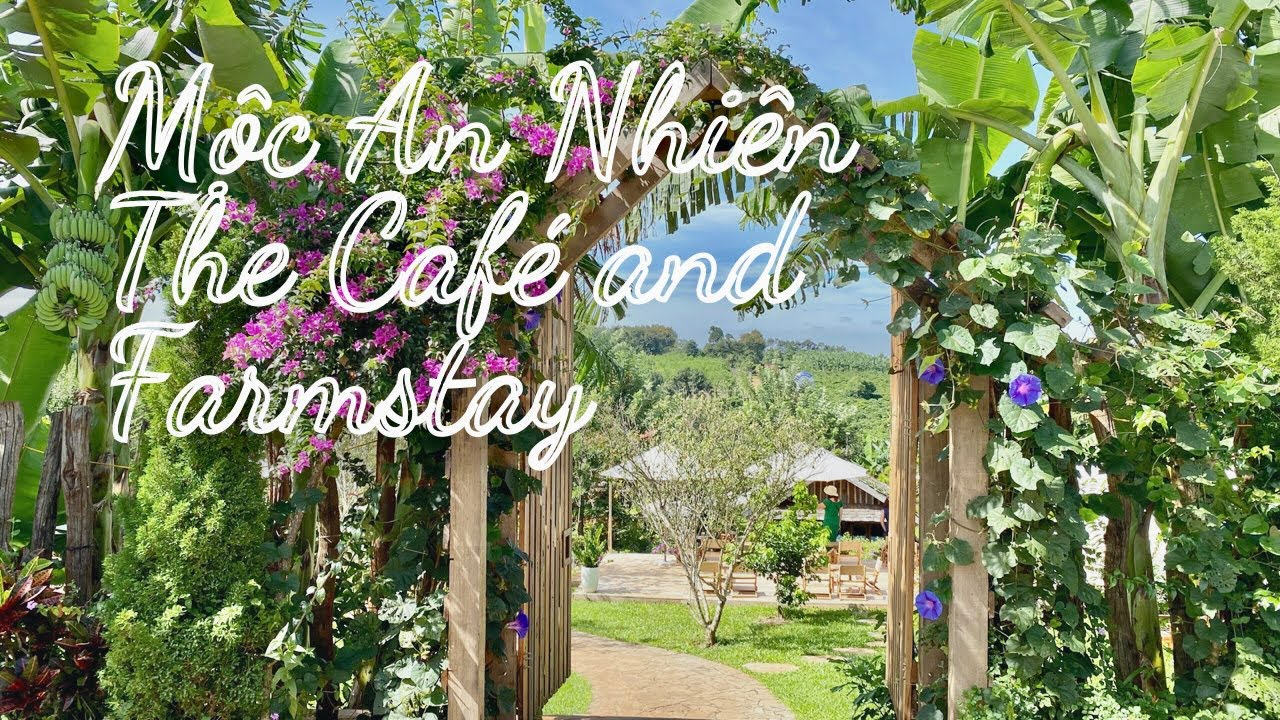 Vườn cafe kết hợp du lịch sinh thái liệu có khả thi?