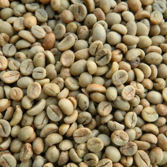 Tại sao người Việt Nam chúng ta lại ưa chuộng loại cafe robusta hơn so với phần còn lại của thế giới