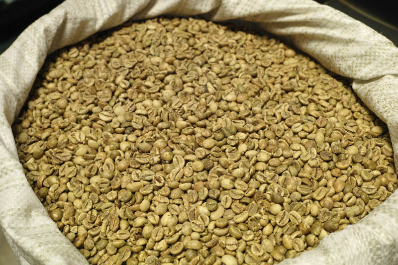 Cafe nhân xanh giá sỉ
