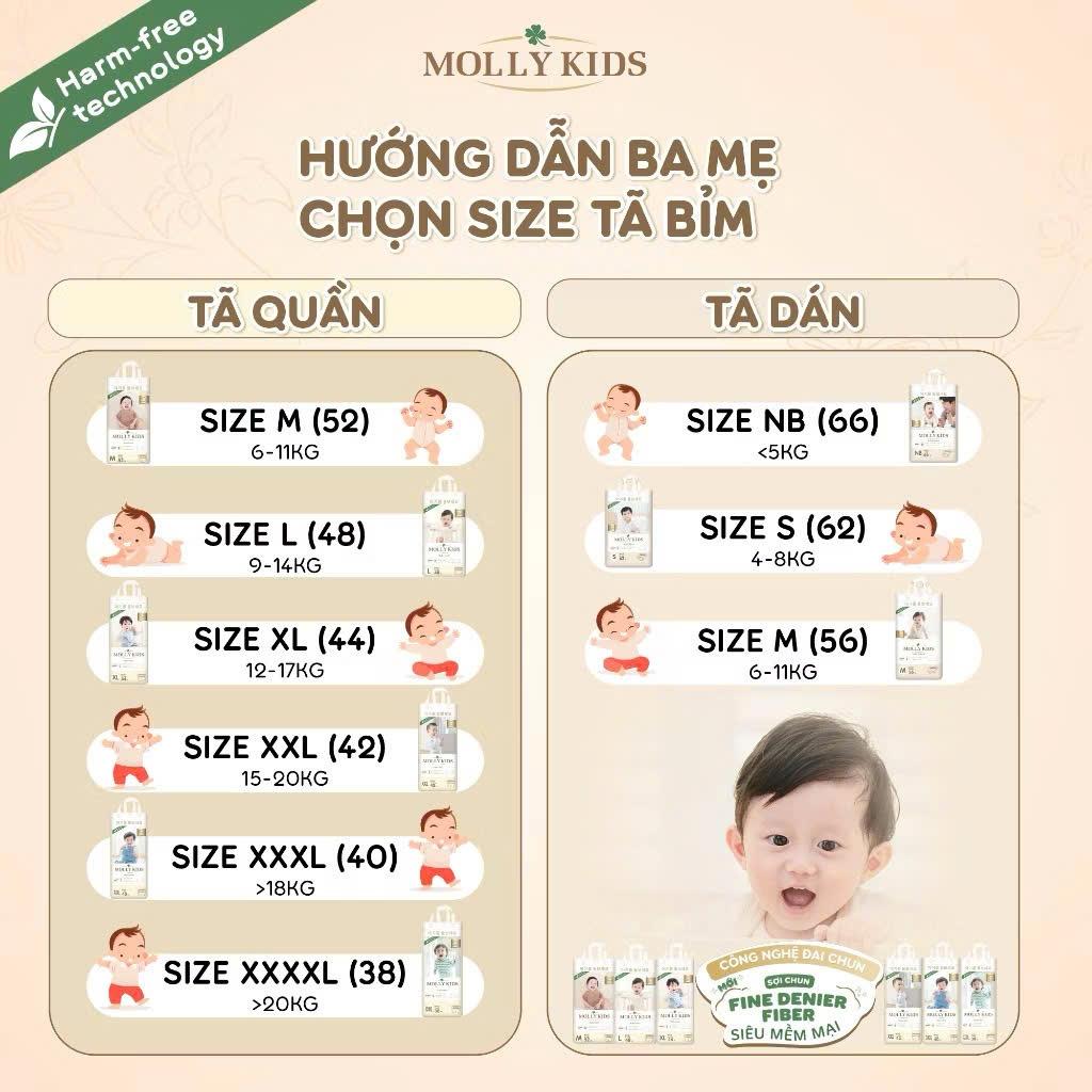 Tã Bỉm Molly Kids Hàn Quốc cao cấp