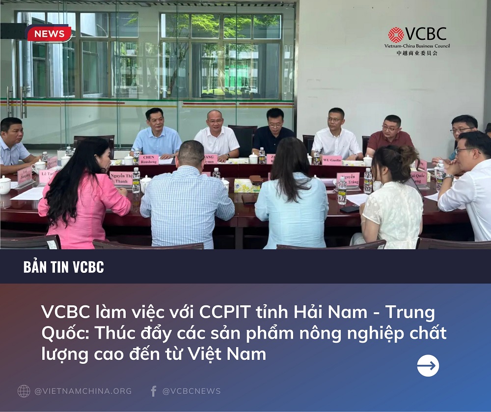 VCBC Thúc Đẩy Hợp Tác Kinh Tế Thương Mại Với CCPIT Hải Nam