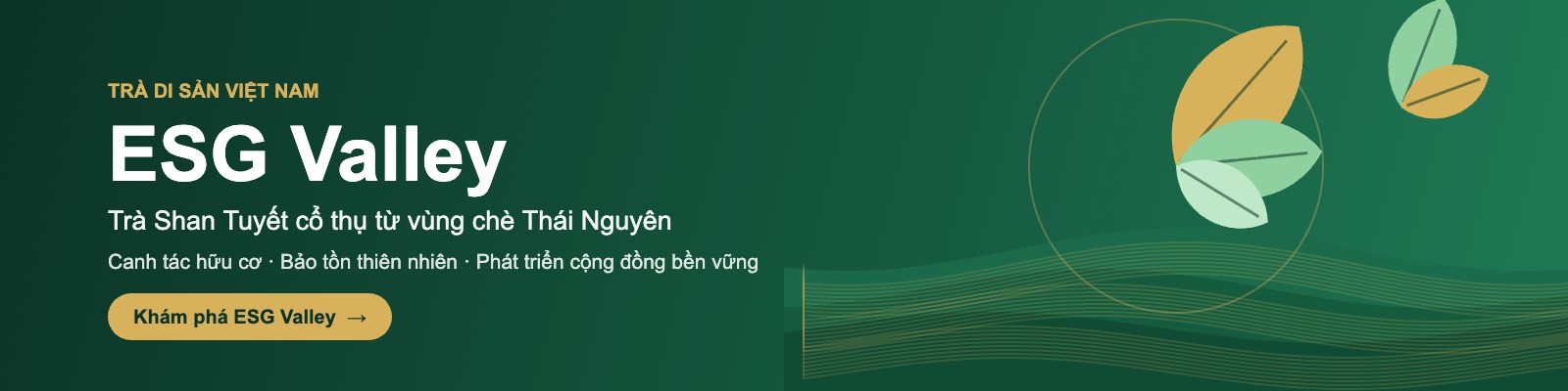 ESG Valley – Trà di sản Việt Nam