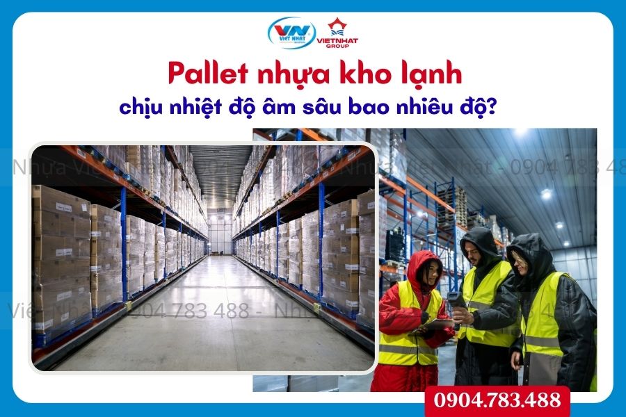 Pallet nhựa kho lạnh chịu nhiệt độ âm sâu bao nhiêu độ?