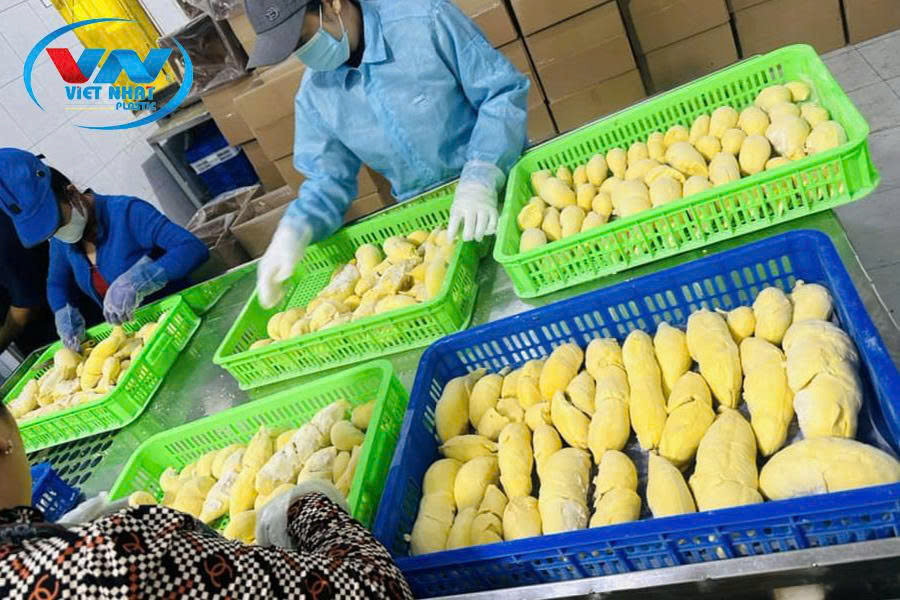 Sóng Nhựa Đựng Trái Cây và Rau Củ: Đa Dạng Kích Thước, Giá Tốt Tại Nhựa Việt Nhật