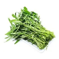 Danh mục Rau lá