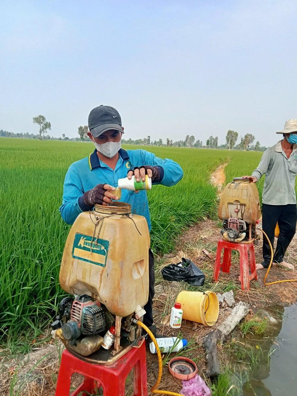 THUỐC TRỪ SÂU LƯU DẪN: TOÀN TẬP VỀ CƠ CHẾ, PHÂN LOẠI & CÁCH DÙNG HIỆU QUẢ