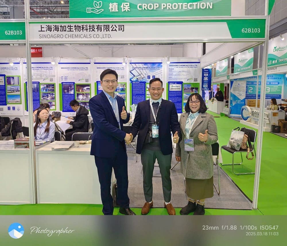 HỘI CHỢ TRIỂN LÃM THƯỢNG HẢI