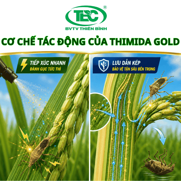 Co-che-tac-dong-cua-Thimida-Gold-diet-bo-xit-hoi-hai-lua
