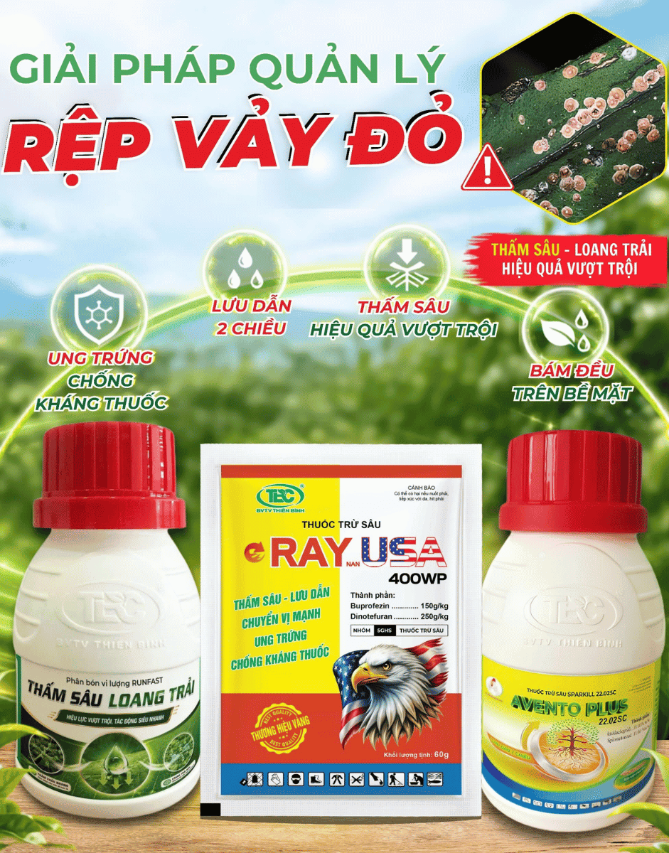 giai-phap-quan-ly-rep-vay-do-tren-buoi