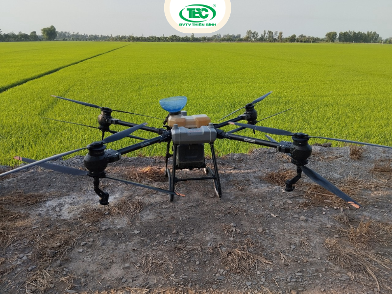 'Máy bay nông nghiệp phun thuốc phòng bệnh đạo ôn cổ bông trên lúa tại ruộng'