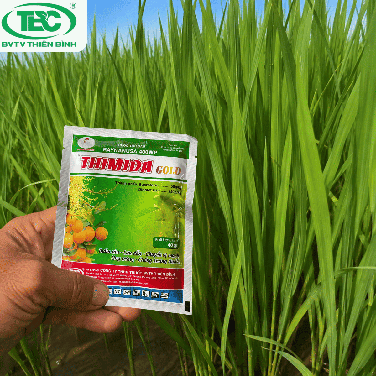 thuoc-dac-tri-ray-phan-trang-thimida-gold