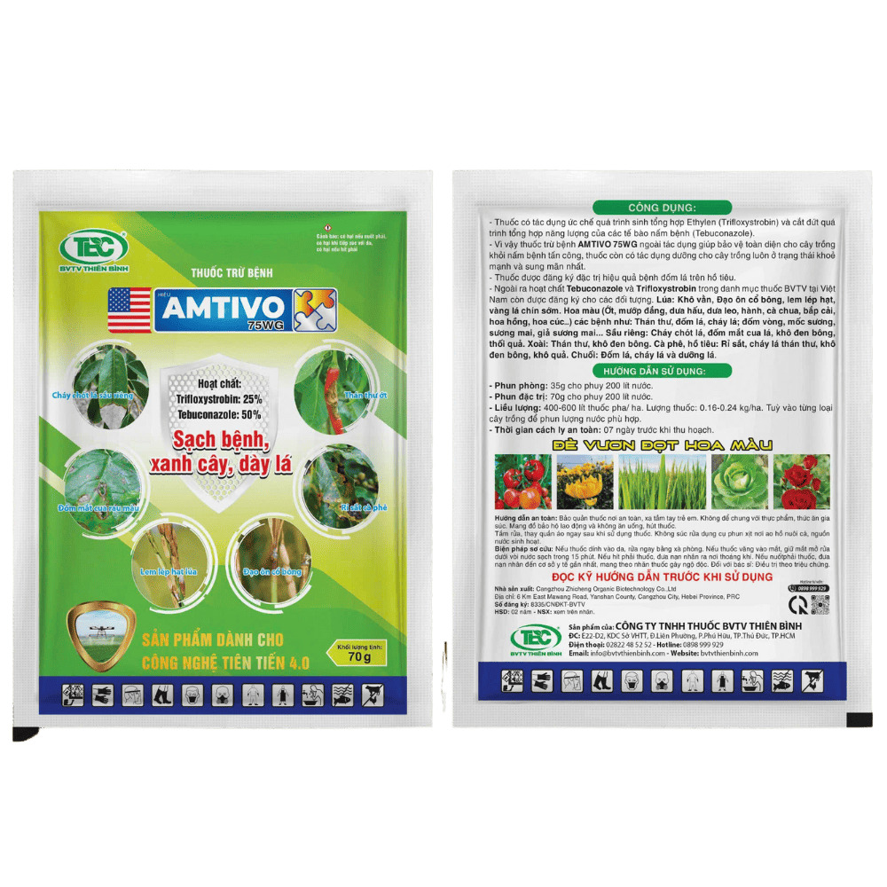 Thuốc nấm trị bệnh gỉ sắt và thán thư hoa hồng AMTIVO 75WG