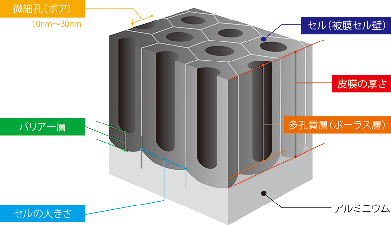 アルマイトとは?
