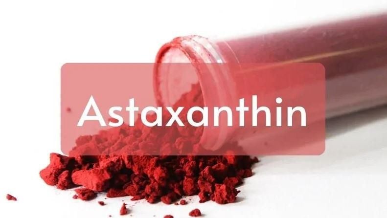 Astaxanthin nên dùng bao lâu thì nghỉ để đạt hiệu quả tối ưu