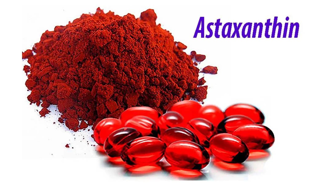 Astaxanthin là gì – Chiết xuất từ vi tảo đỏ Haematococcus pluvialis
