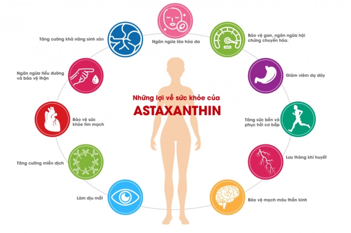 Astaxanthin bảo vệ mắt và tim mạch hiệu quả