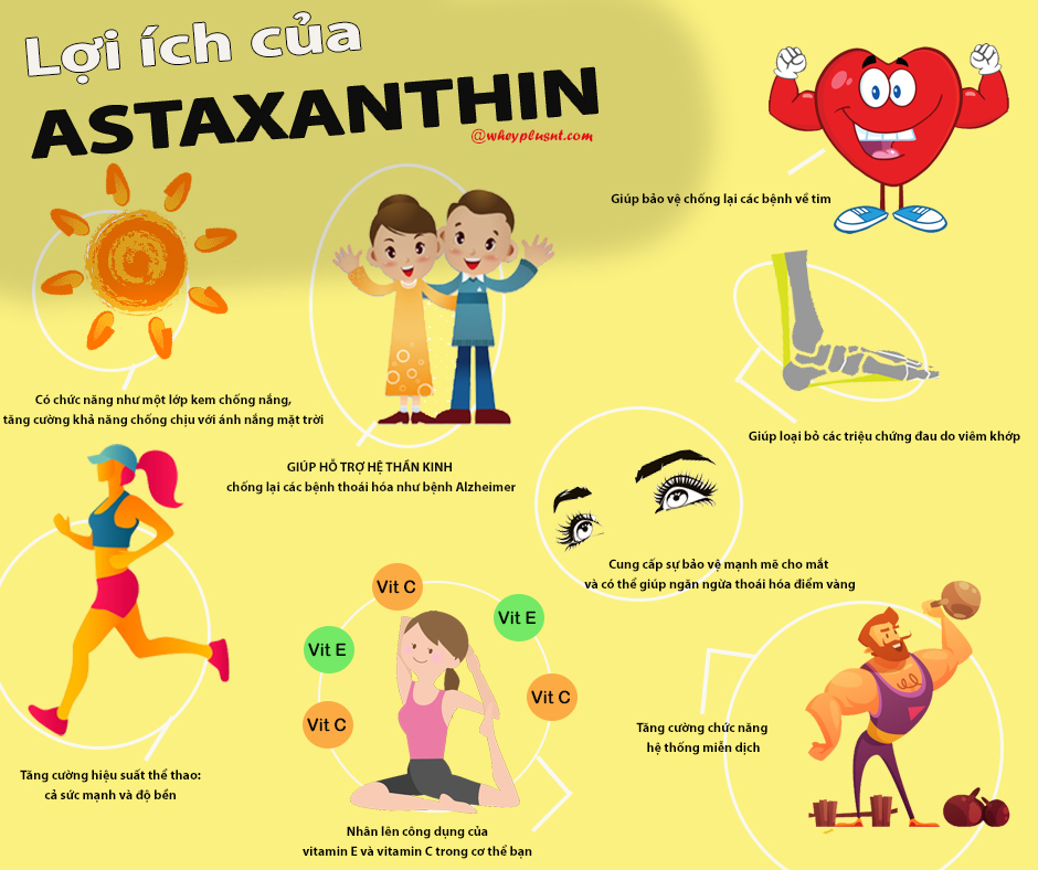 Astaxanthin phù hợp với ai và lợi ích mỗi nhóm người