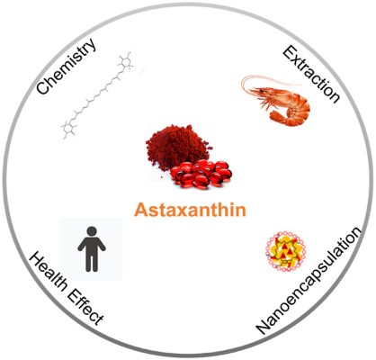 Liệu trình dùng Astaxanthin 2–3 tháng rồi nghỉ