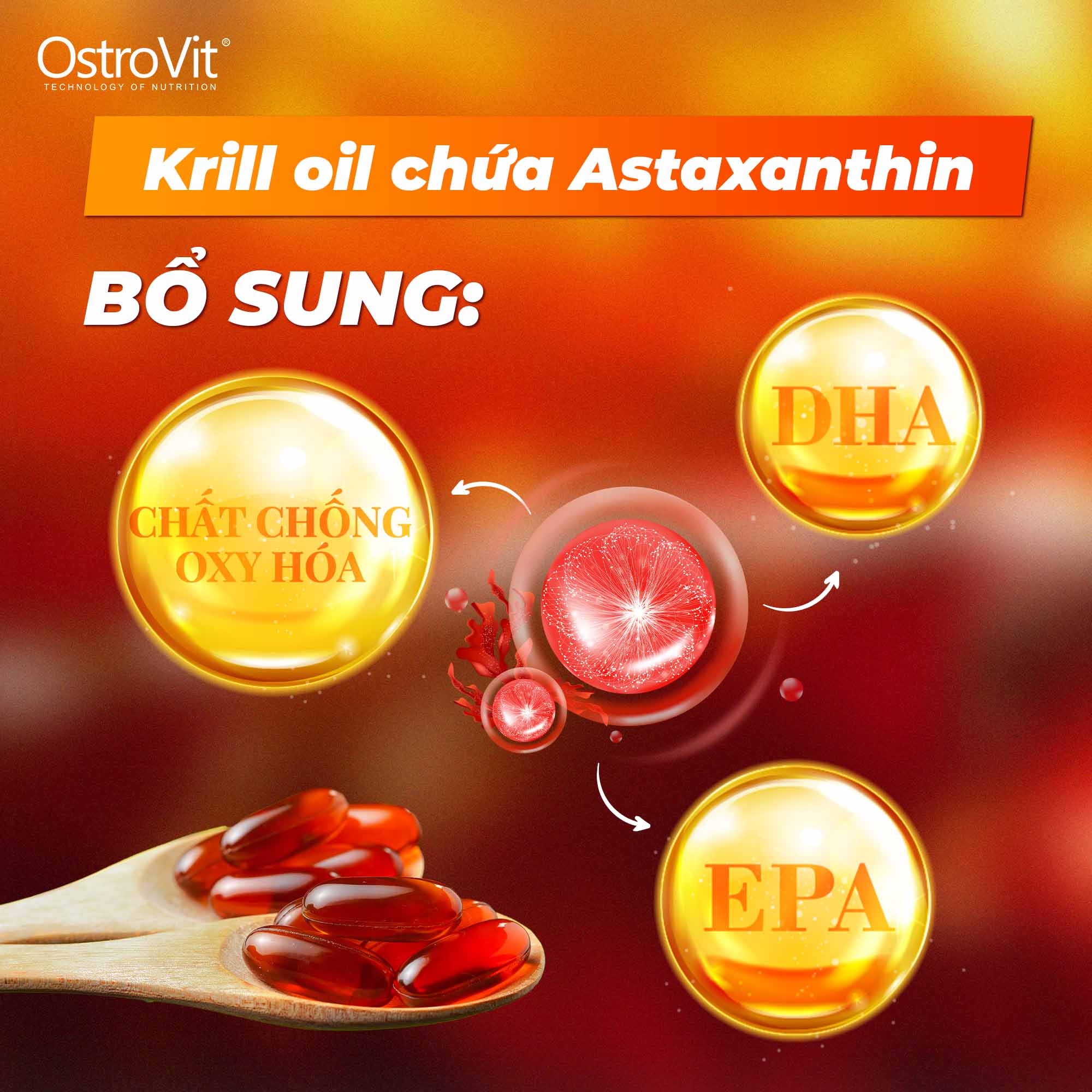 Astaxanthin và Omega‑3 – bộ đôi vàng chống oxy hóa
