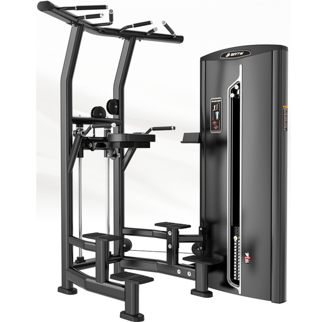 Dip/Chin Assist BF10