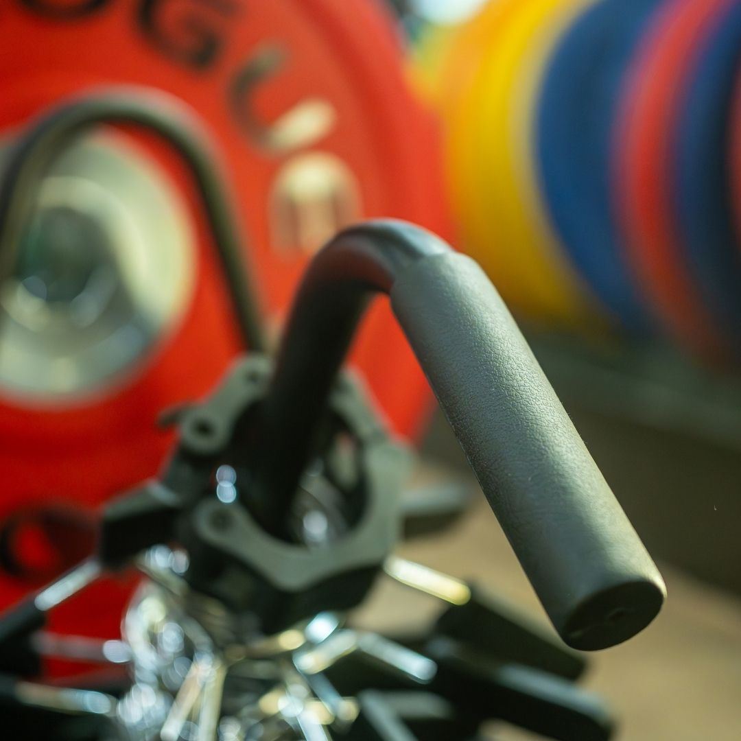 Kệ Đựng Bánh Tạ 100638