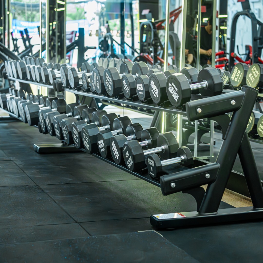 Tạ Tay Cố Định 12 Cạnh Hammer Strength 26005