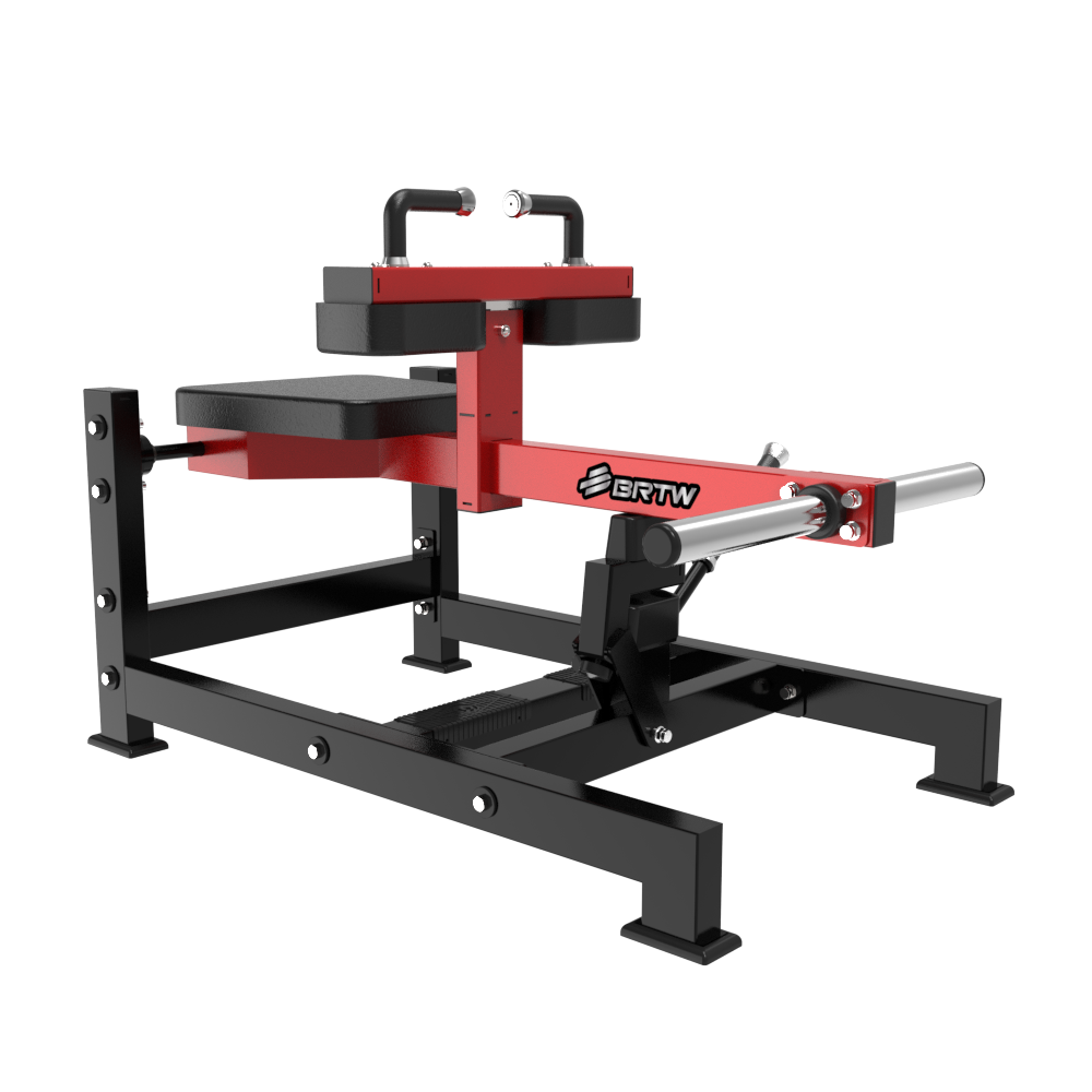 Seated Calf Machine TM23