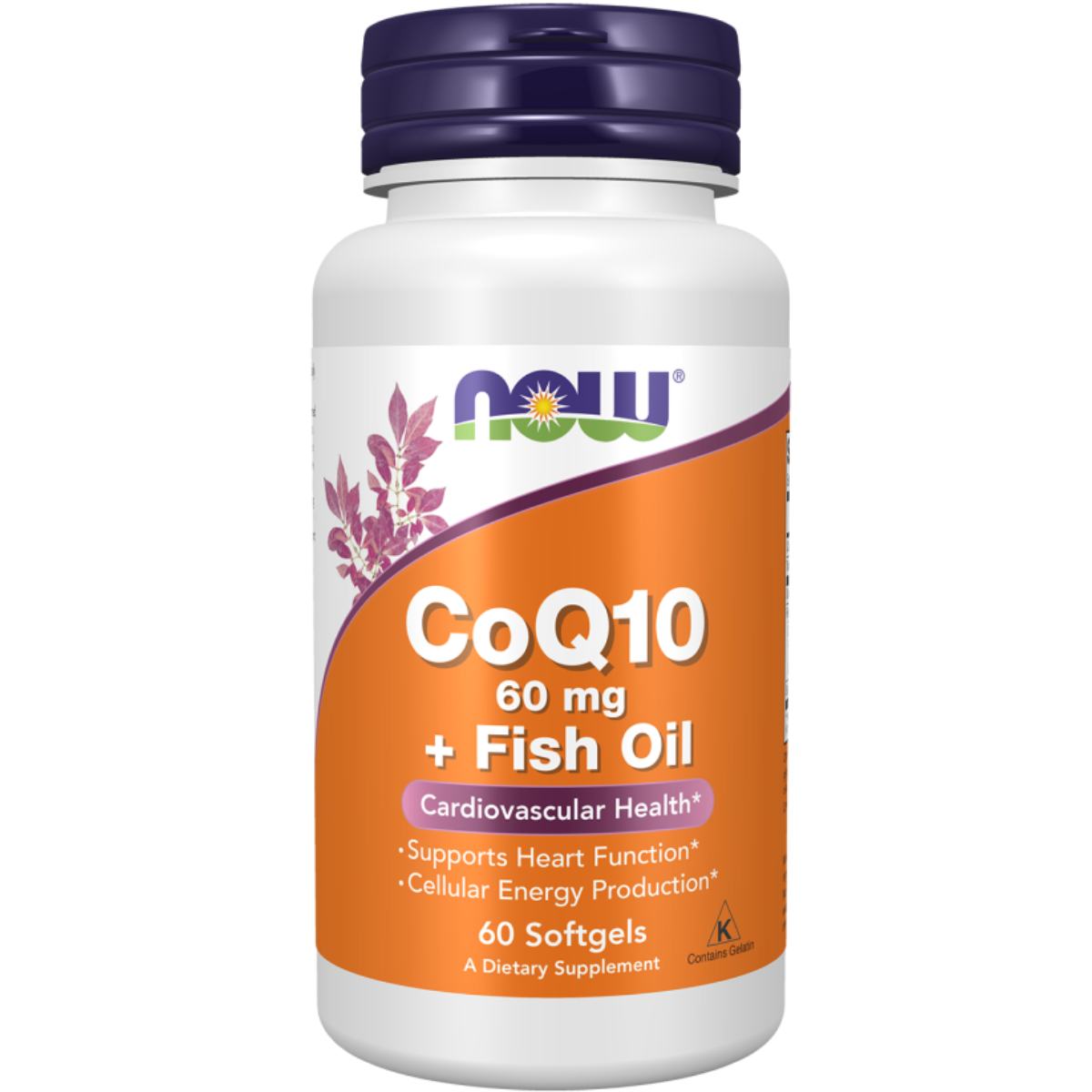 Now CoQ10 60mg With Omega 3 (60 Viên)